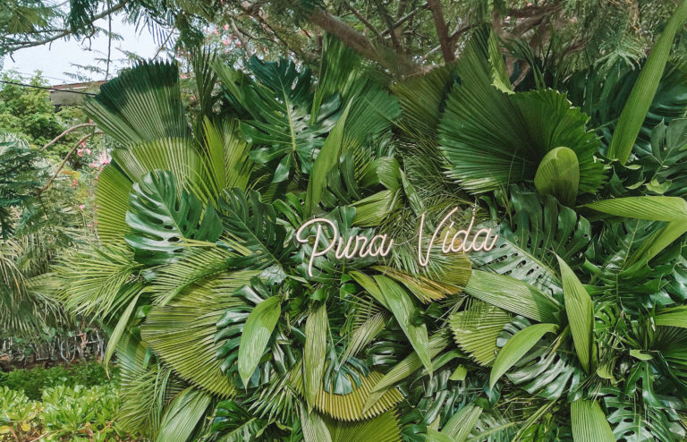 6 MAGICAL DAYS IN COSTA RICA 